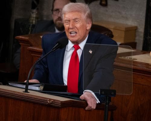 Trump’s Five Ways to Try to Steer the 2026 Midterms