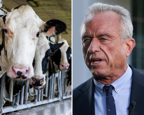 US diet rules call for more meat, could destroy forests