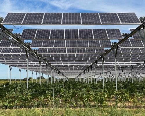 EU proposes “Buy EU” rule to boost local low‑carbon industry against China