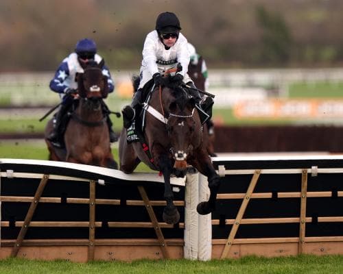 Trainer Henderson Prepares Constitution Hill for Flat Debut