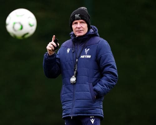 Crystal Palace boss and chairman patch things up