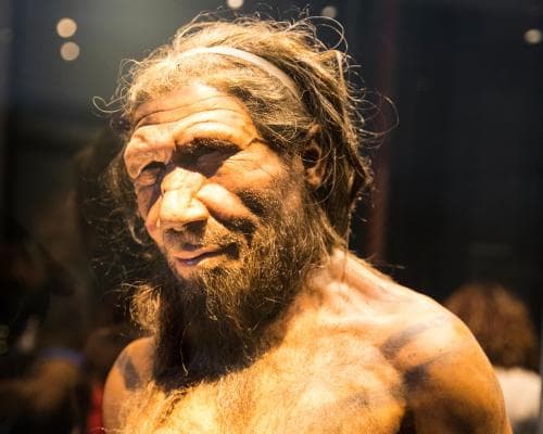Neanderthal DNA Mostly Comes from Male‑to‑Female Mating