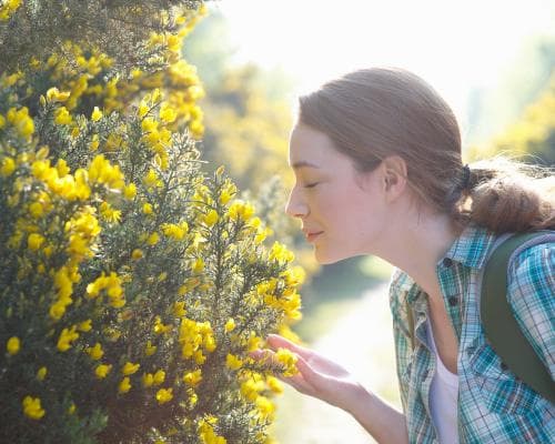 Scientists Map the Smells of Cities Around the World