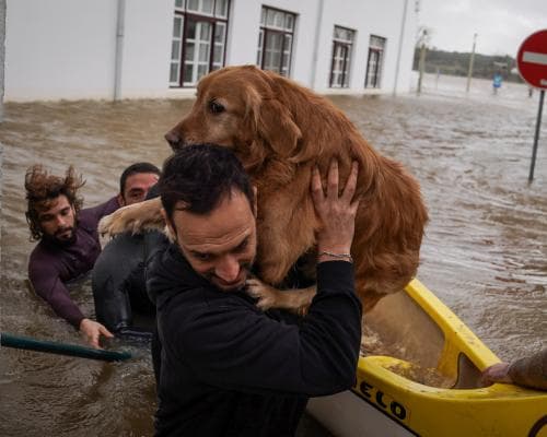 Storm Leonardo forces Portugal to consider delaying presidential election