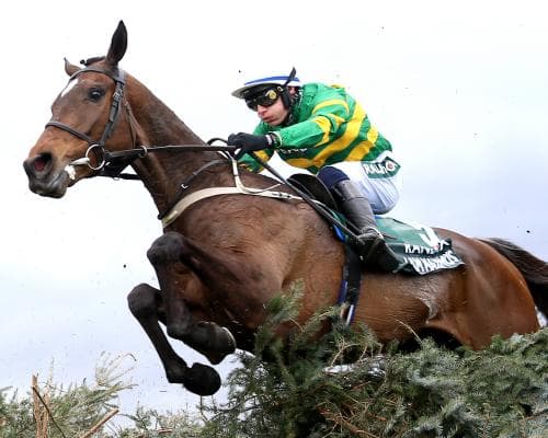 2026 Grand National Field Gets a Quality Boost
