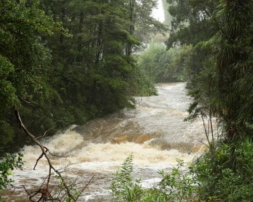 New Zealand Storm Causes Floods, Power Outages