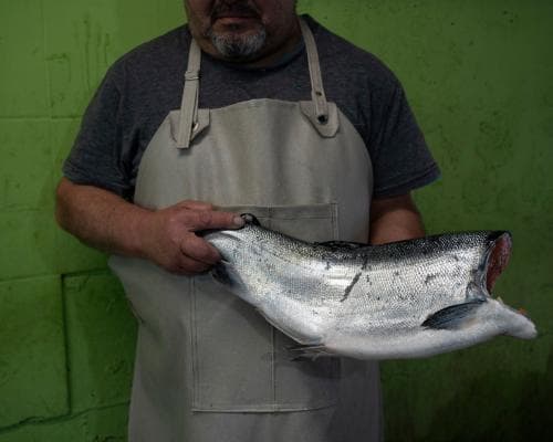 Chilean salmon farms: deadly accidents and polluting rivers