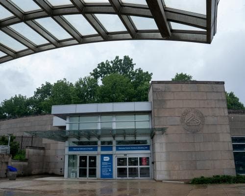 NIH halts funding for research using fetal tissue from elective abortions