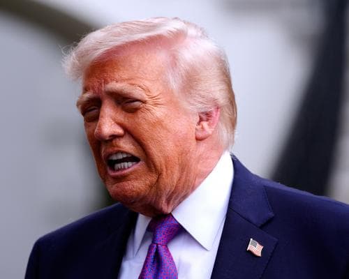 **The best AI models you can try today**