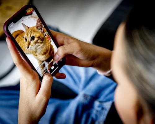 UK MPs Reject Social Media Ban for Kids Under 16