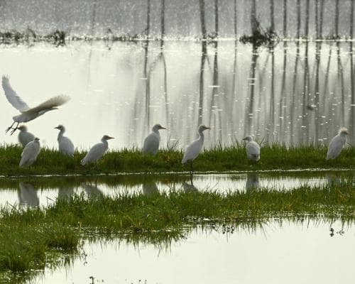 Warm spring in Europe, cold hits southeastern U.S.