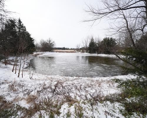 Three brothers drown after falling through pond ice in Texas