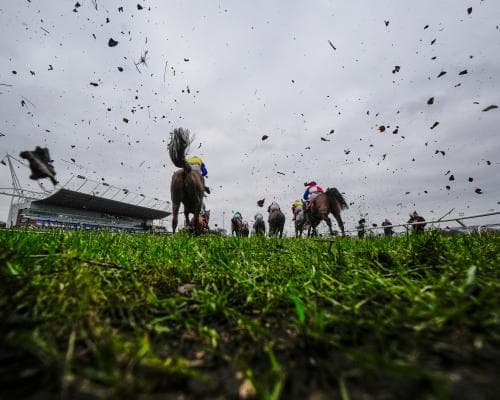 Kdeux Saint Fray Could Beat Mullins’s Winning Record at Kempton