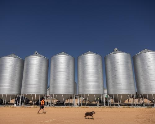 Ouyen Sets Victoria's Record High Temperature, Experts Warn of More Heat