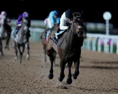 Constitution Hill quits Champion Hurdle, turns to flat racing