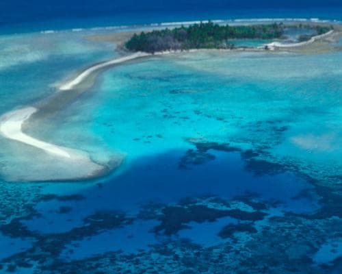 Protect the Chagos Islands’ Natural Habitat