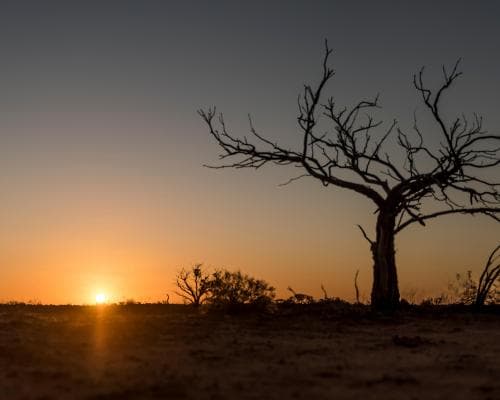Australia Faces Record Heatwave and Fire Threats