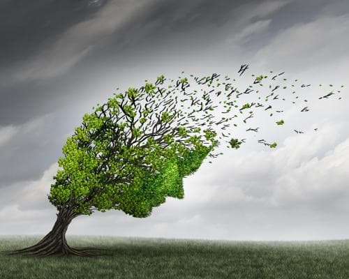 How to Stay Safe from Distressing Videos After Tragic Events