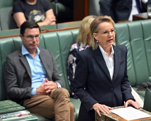 Three Nationals Frontbenchers Resign After Voting Against Hate‑Speech Bill